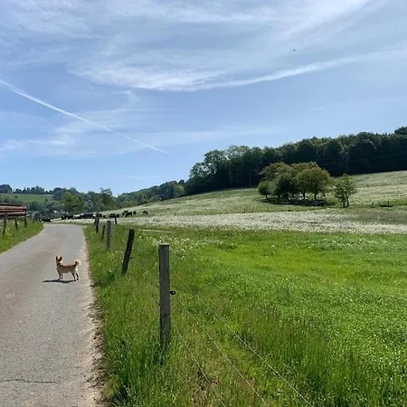 Apartment Odw Homes - Im Mit Terrasse Gorxheimertal