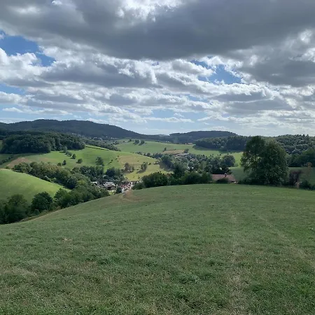 Appartement Odw Homes - Im Mit Terrasse