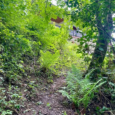 Odw Homes - Im Mit Terrasse Appartement Gorxheimertal