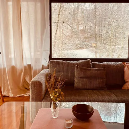 Appartement Odw Homes - Im Mit Terrasse Gorxheimertal