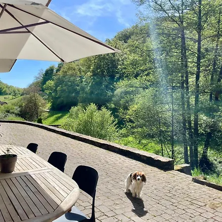 Daire Odw Homes - Im Mit Terrasse Gorxheimertal