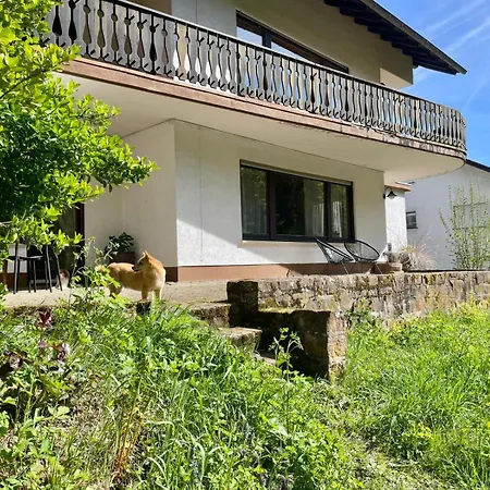 Odw Homes - Im Mit Terrasse *
