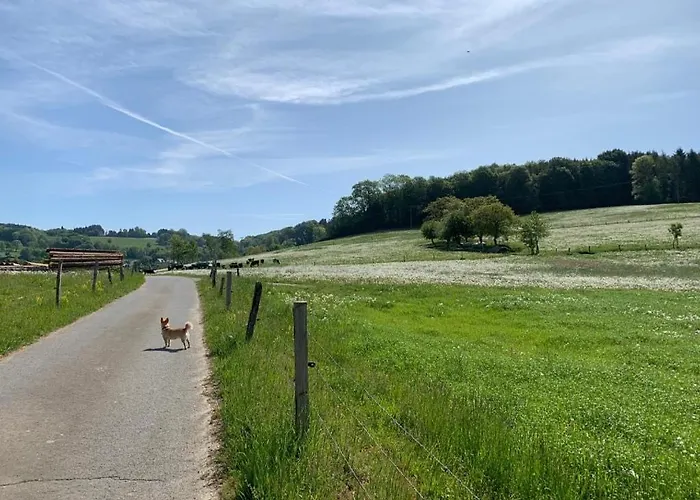 Apartamento Odw Homes - Im Mit Terrasse Gorxheimertal