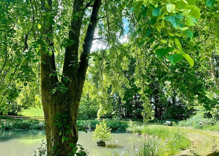 Odw Homes - Im Mit Terrasse Gorxheimertal