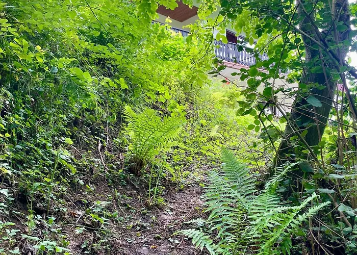 Odw Homes - Im Mit Terrasse Apartamento Gorxheimertal