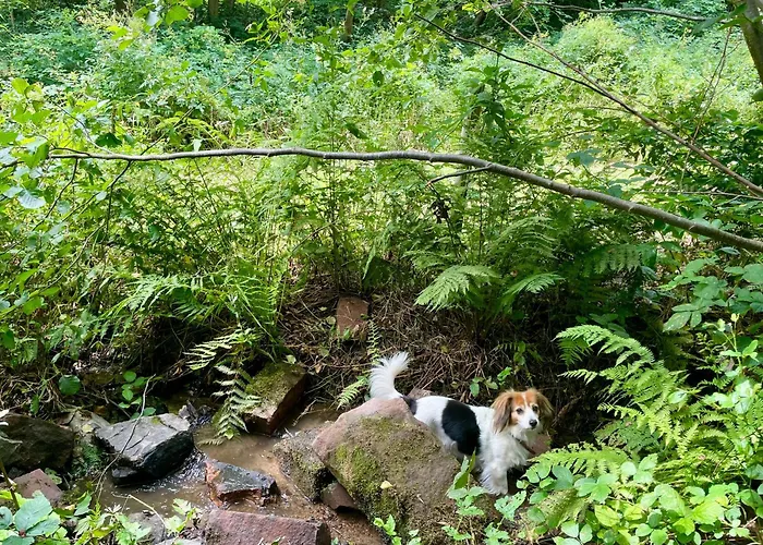 아파트 Odw Homes - Im Mit Terrasse Gorxheimertal